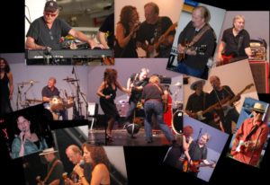 Shoo Fly Blues pic